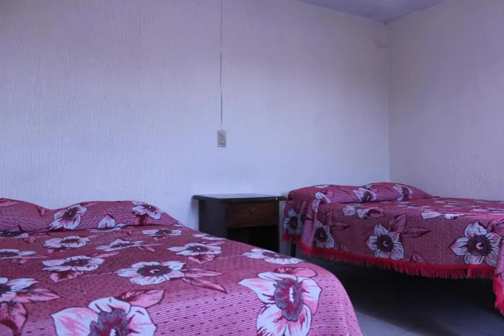 Hotel Plaza Aleman
