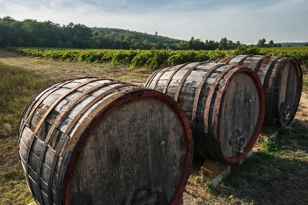 Domaine Les Terres de Saint-Hilaire
