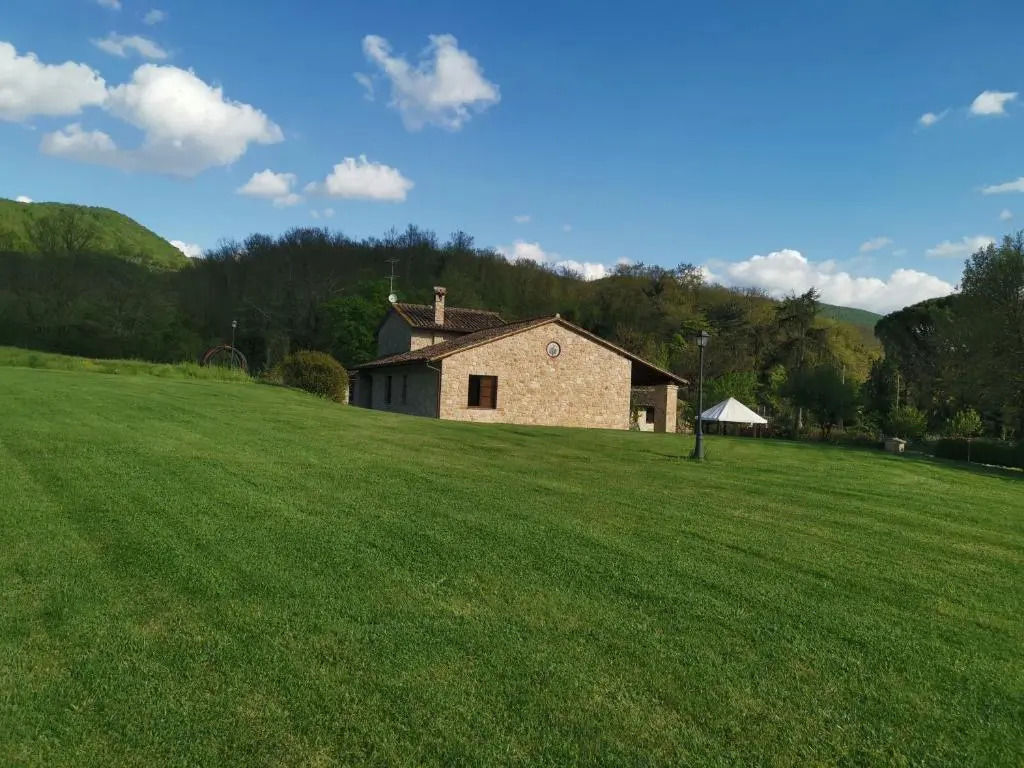 Il Vignale