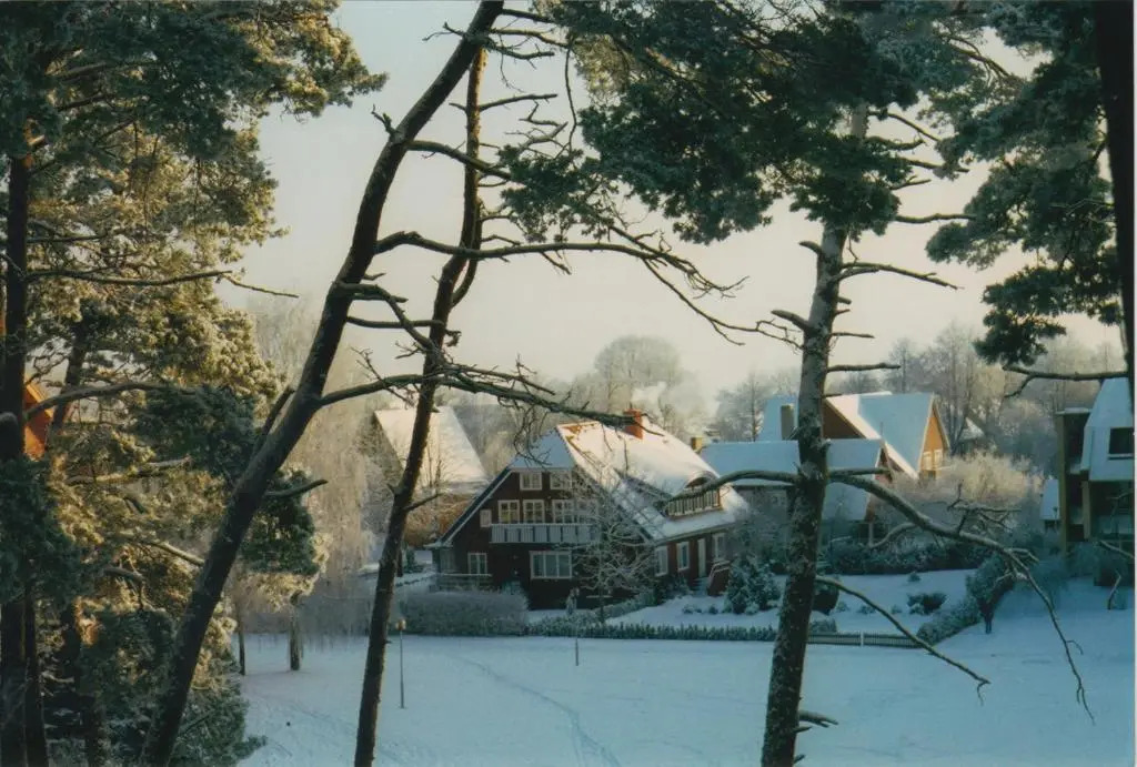 Vila Misko Namas