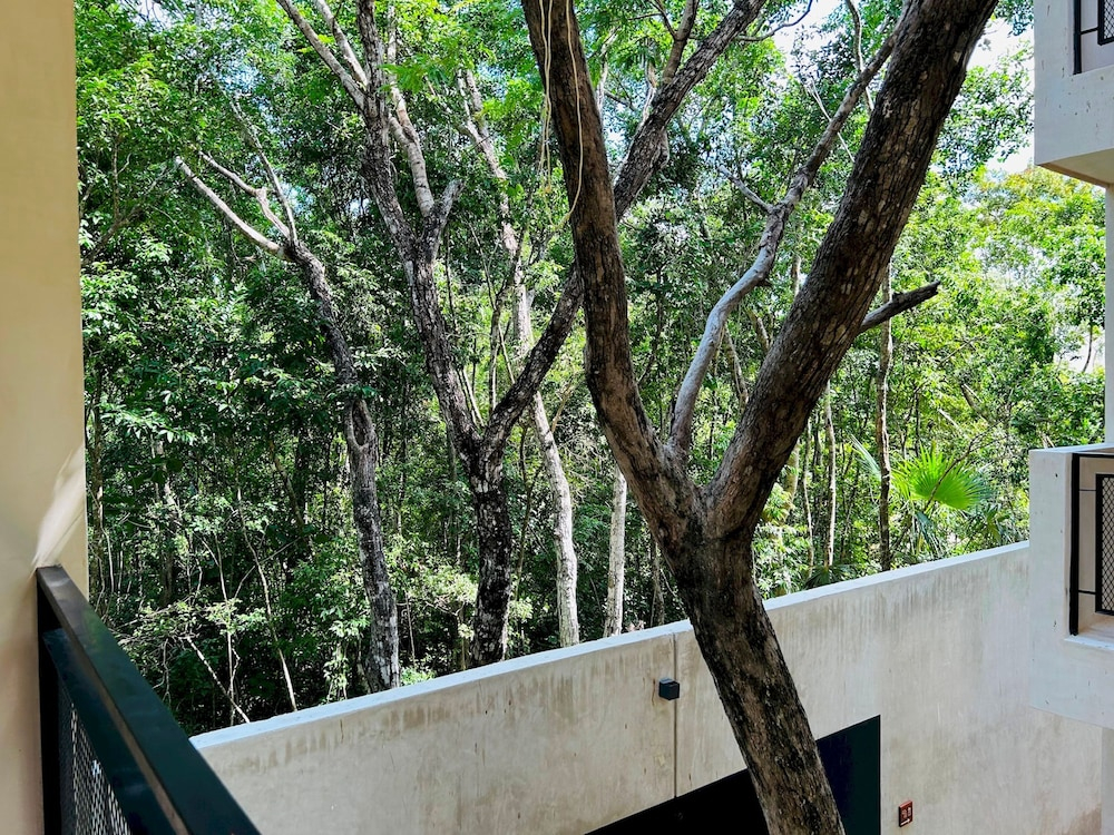 Jungle View Studio S19 Private Balcony Hammock Pool