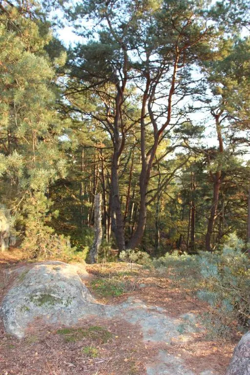 LAlisier Chantant