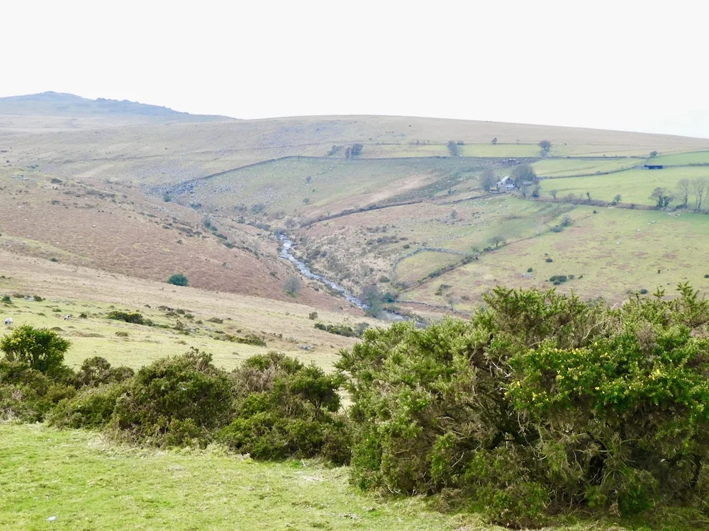 Dartmoor House B&B