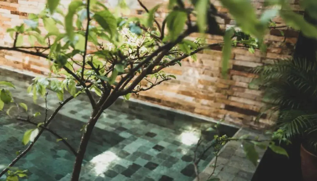 Tropical House - Villa com piscina perto do mar