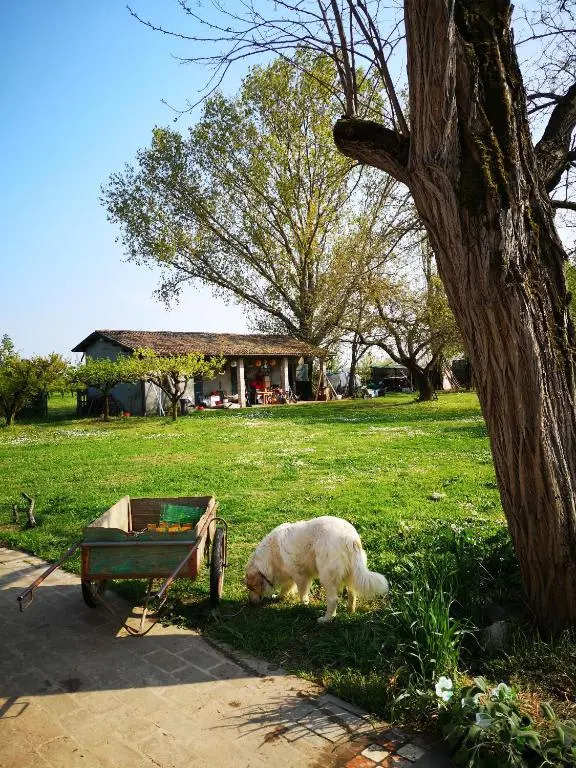 Agriturismo Elianto