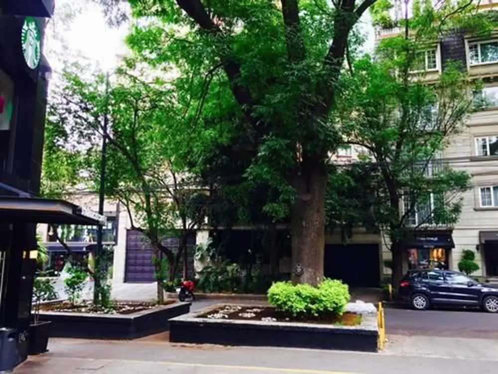 Departamento Premium Polanco