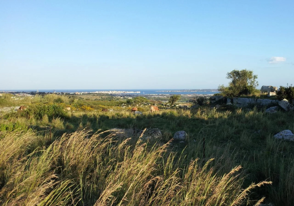 Eurialo Green Suites