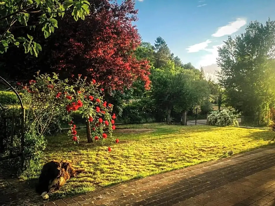 Il Rovo di More