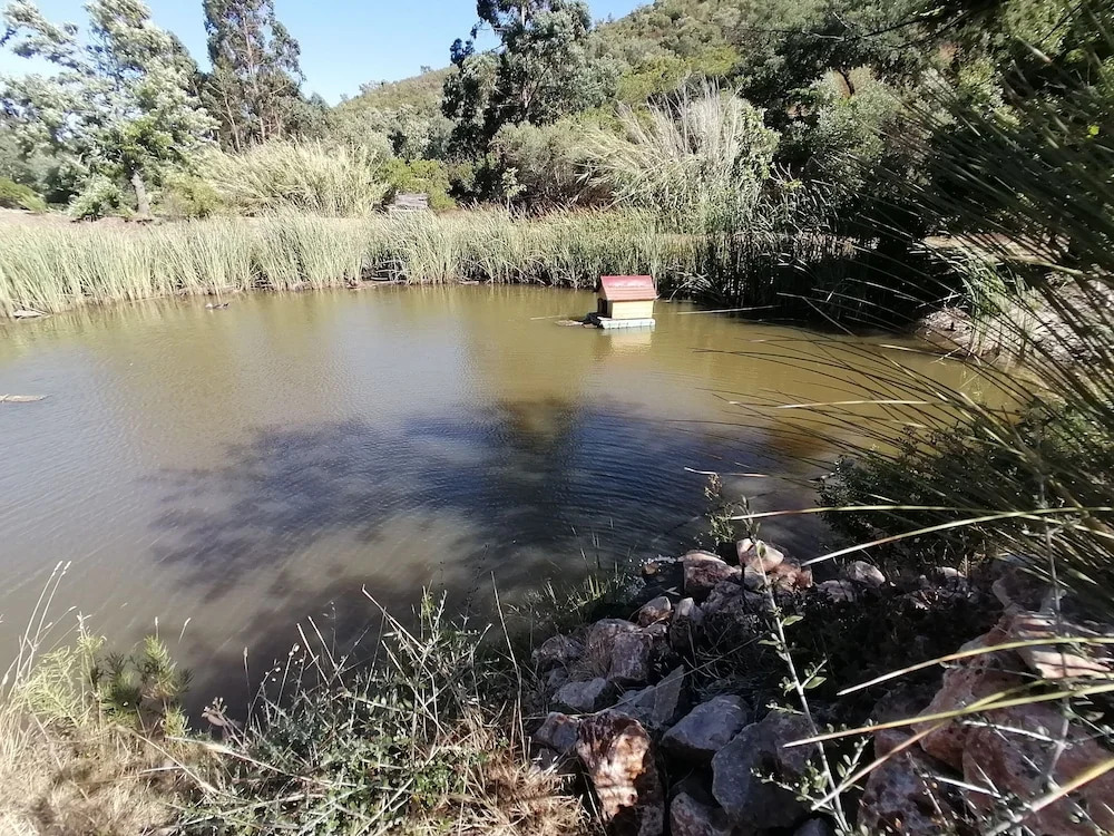 Glamping Tinyhome Pond Cabin @talurdo Retreat