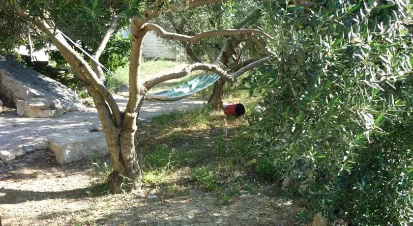 Nature Apartment in Split