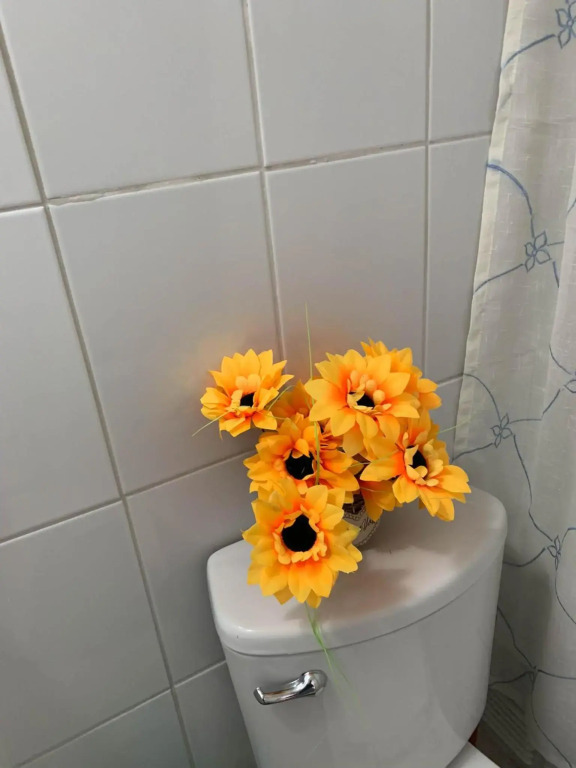 Depto 4 Metro Cal y Canto 1 dormitorio y 1baño