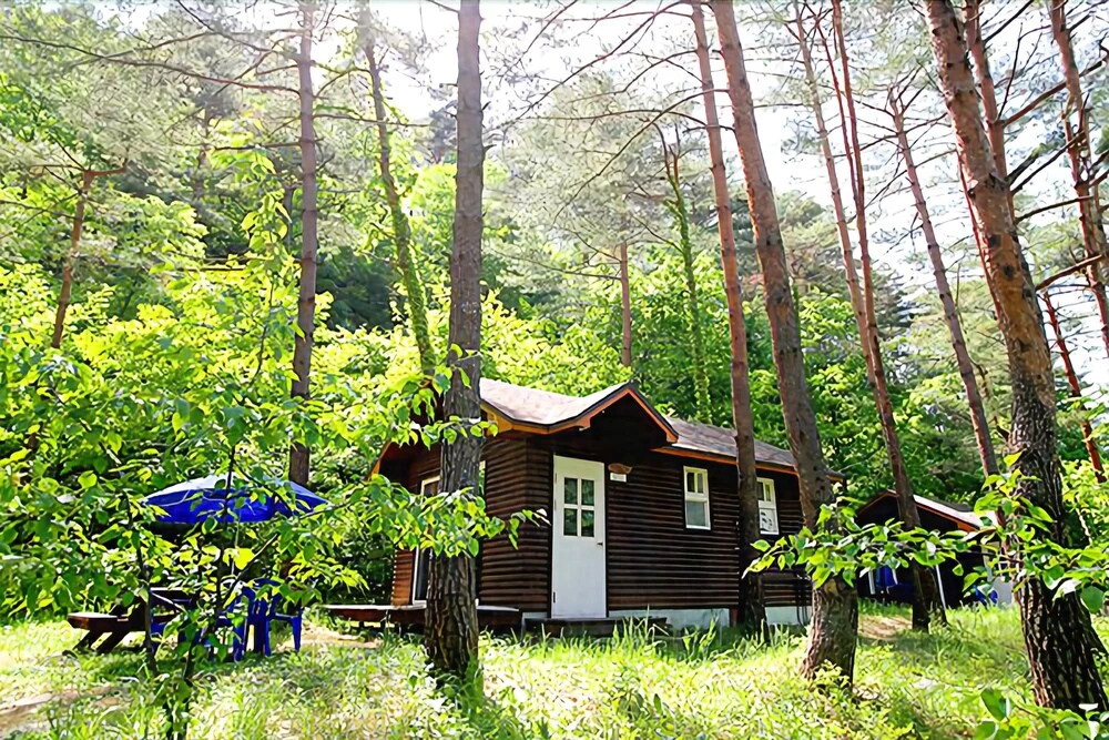 Yangyang Forest Home Pension