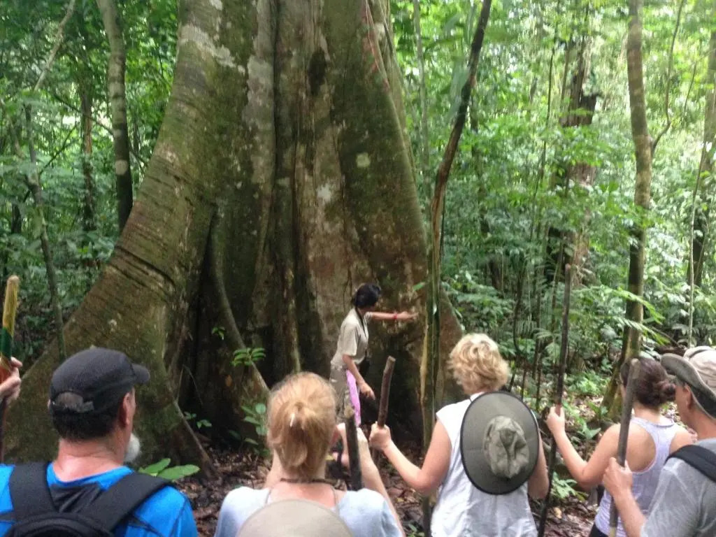 Saladero Eco Lodge