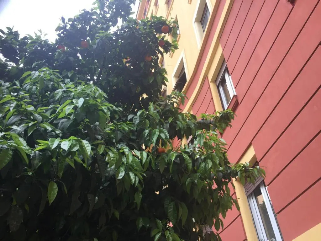 Casa Volver