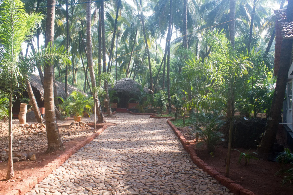 Palm Trees Ayurvedic Heritage