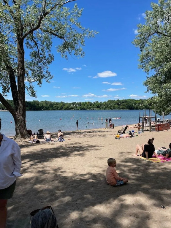 Cedar Lake Flatpak