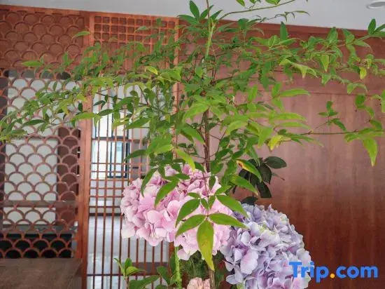 Herun Traditional Chinese Medicine Health Theme Hotel