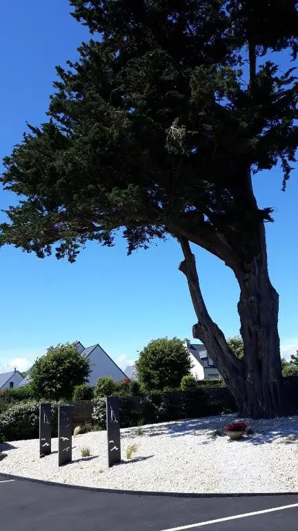 Auprès de mon arbre