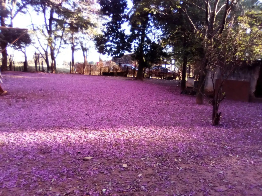 Pousada Das Paineiras