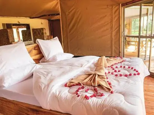 Foresight Eco Lodge