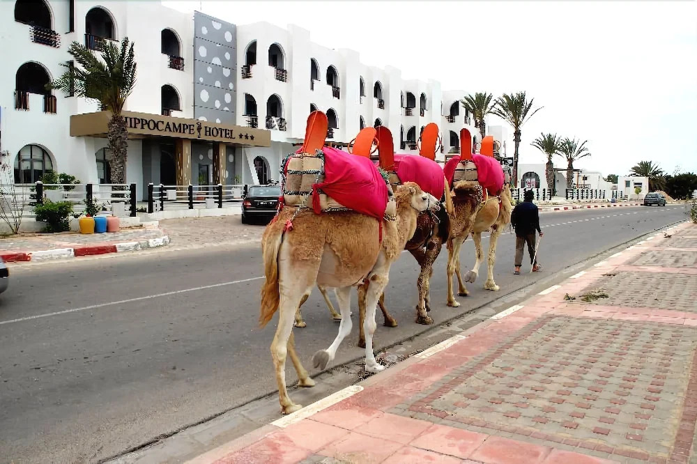 Hippocampe Hotel
