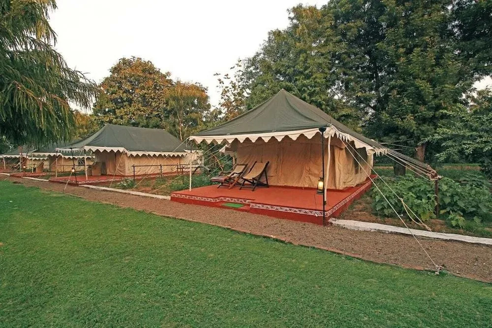The Jungalow