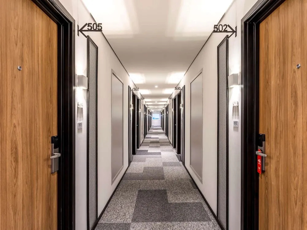Ibis Aruja