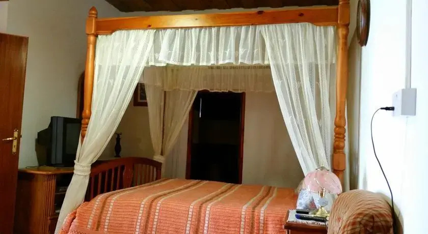 Jungle House