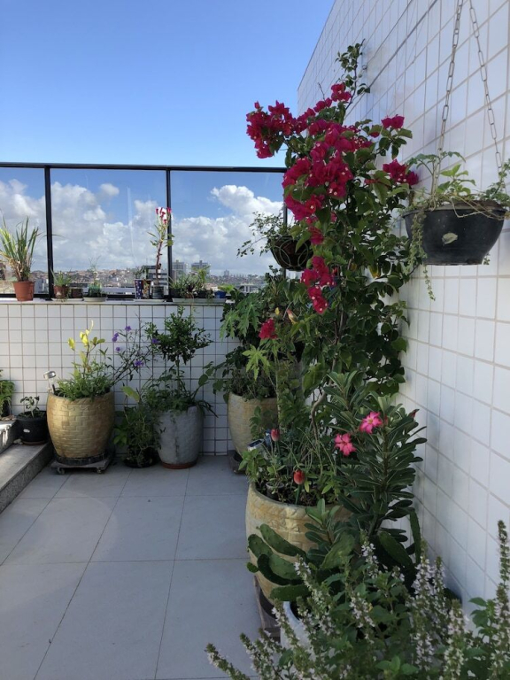 Temporada em Maceió