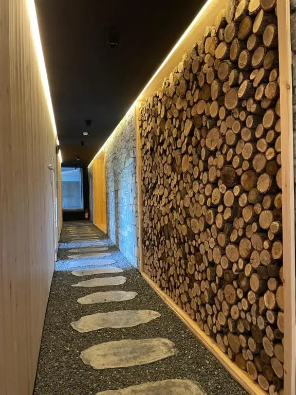 Apartment Janosevic