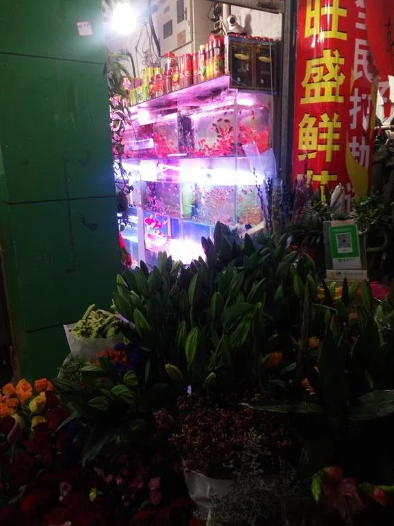 Xiamen Ping'an Hostel
