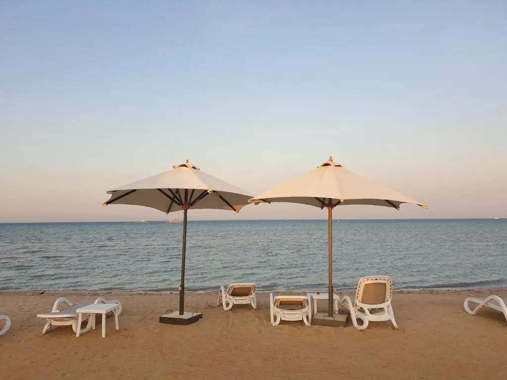 Mangroovy El Gouna
