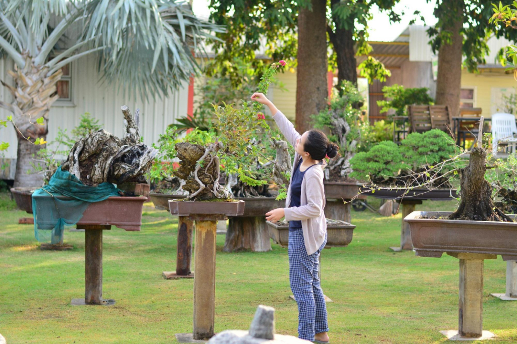 18 bonsai garden resort