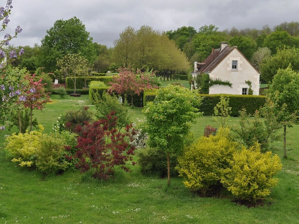 The Cottage