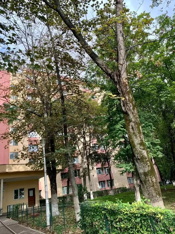 Luand Apartament