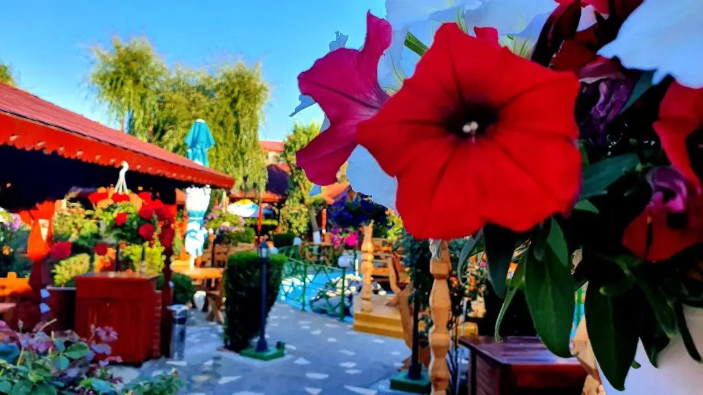 Hotel Poienita
