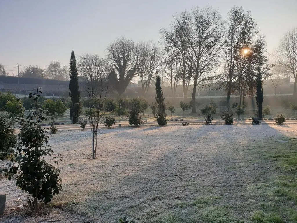 Quinta Das Essências