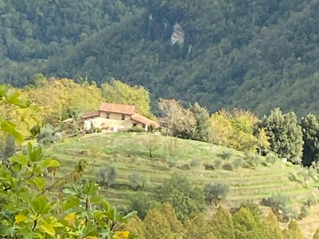 Graceful Cottage in Vergemoli with Private Fenced Garden