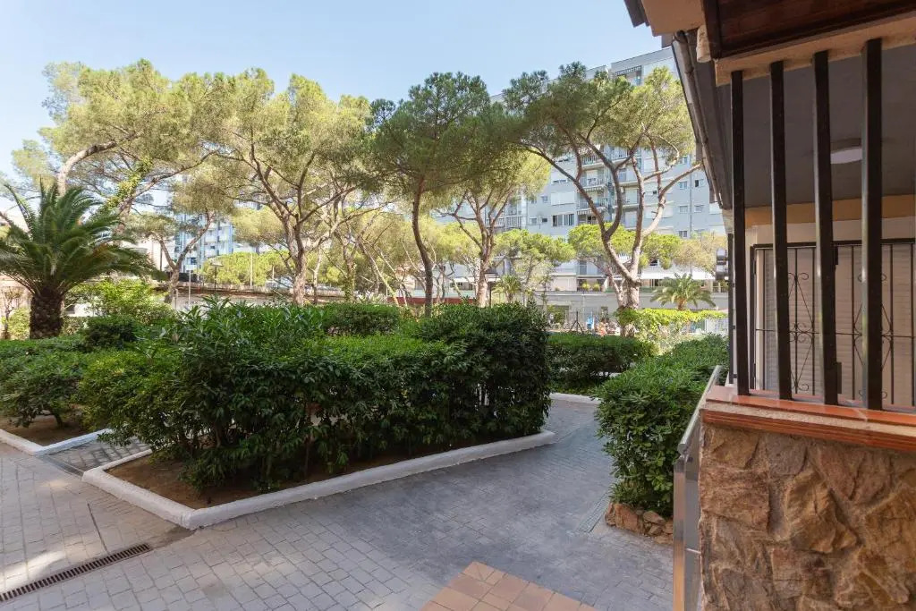 Apartment 60 mtres from the beach