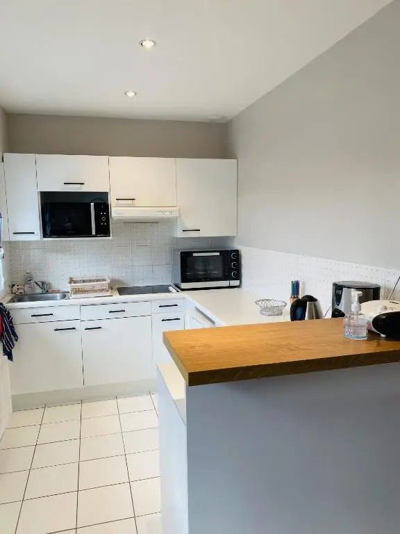 LES DRUIDES, bel appartement avec wifi, plage a 400m