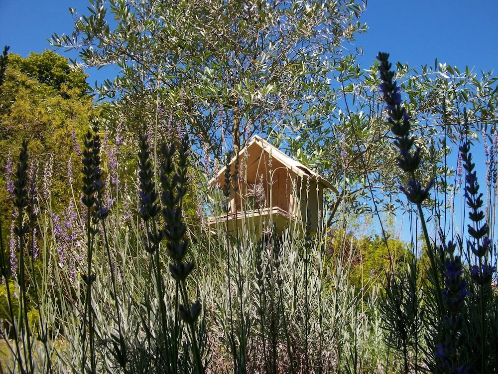 Domaine de Monein