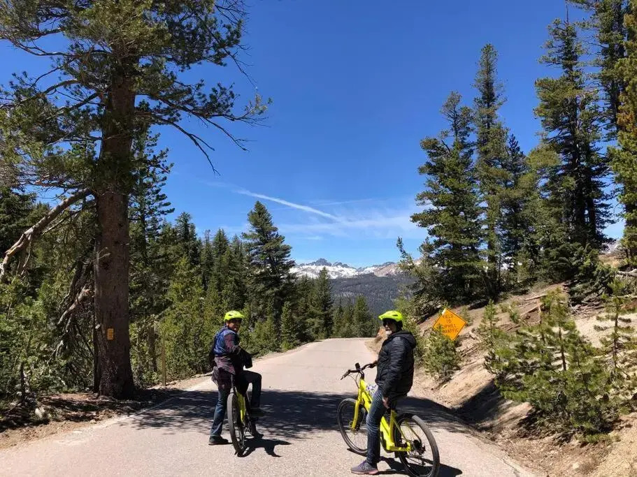 Mammoth Awesome Location-1 min to Shuttles & Food