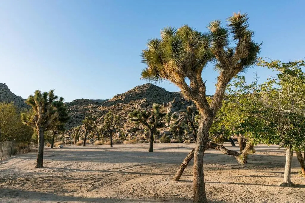 The Way Out Ranch. Escape to Solitude on 2.5 acres