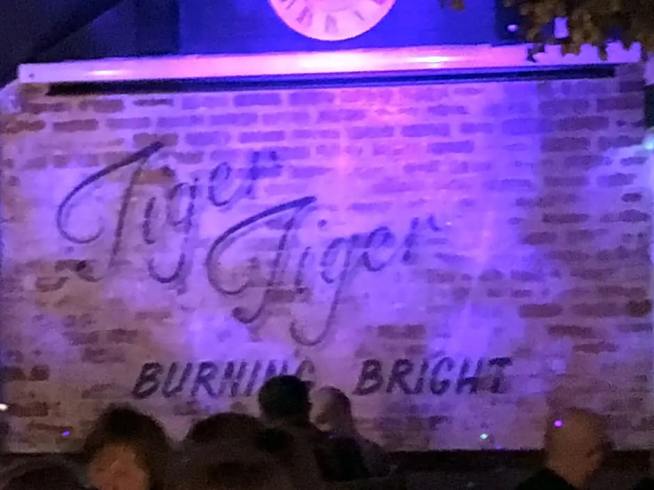 tiger inn