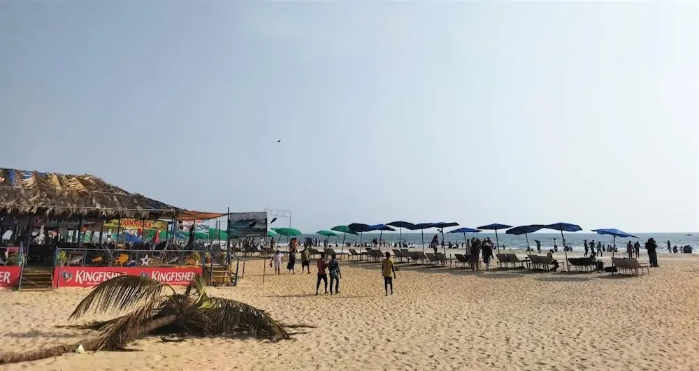 Apartment in Colva, Goa With Pool & Gym