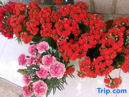 Huahua World Homestay