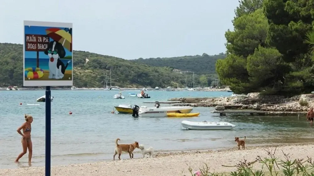 Pero - 80 m From sea - A3
