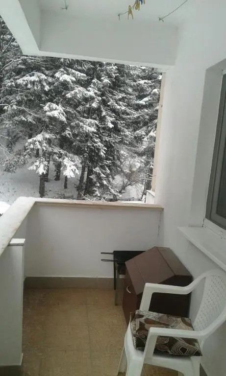 Apartament Nemira