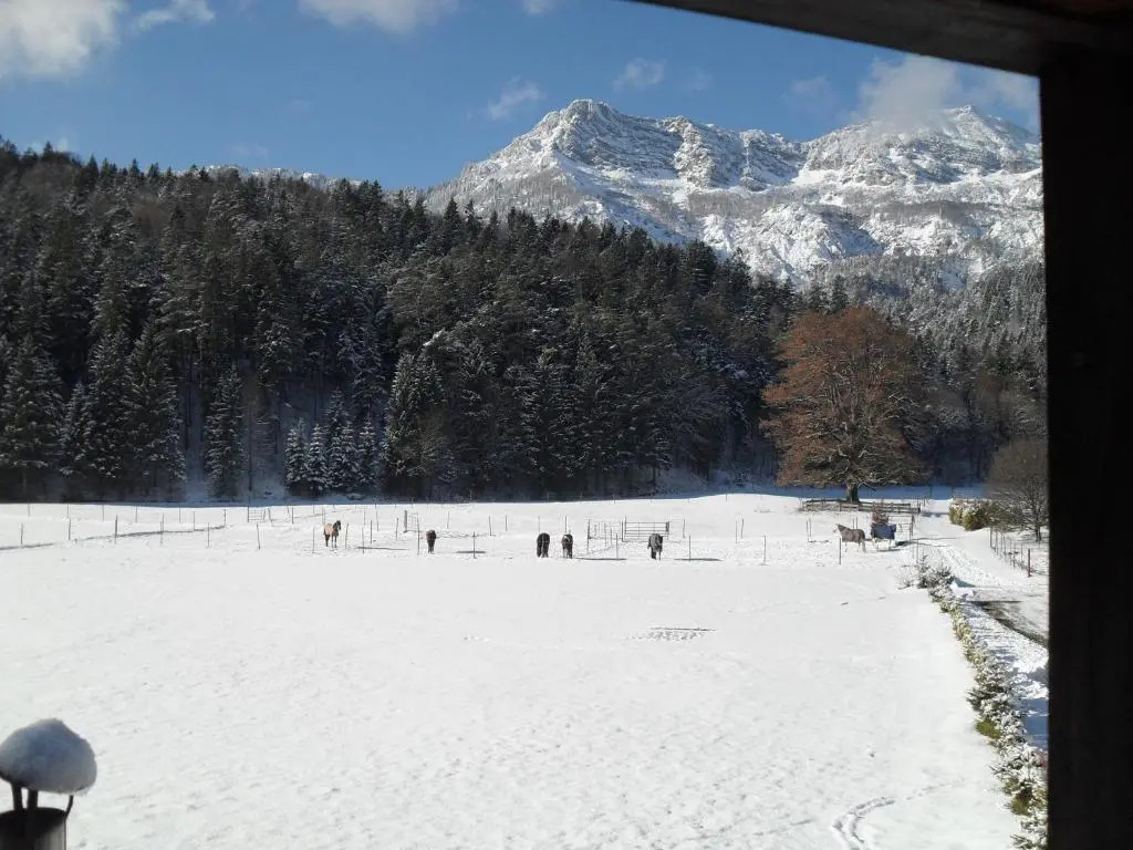 Ferienhaus Gestüt Pfaffenlehen