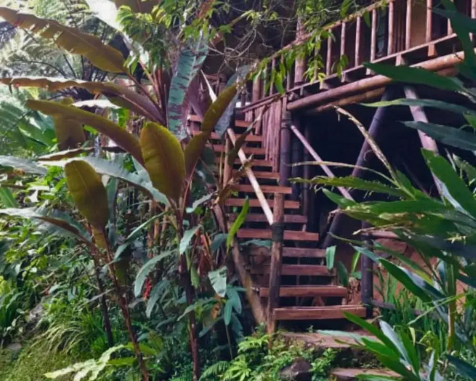 Warung Rekreasi Bedugul